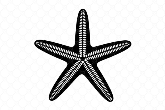 Review: Starfish SVG, Starfish Silhouette, 032 for Embroidery